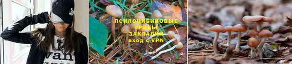 гидропоника Кулебаки