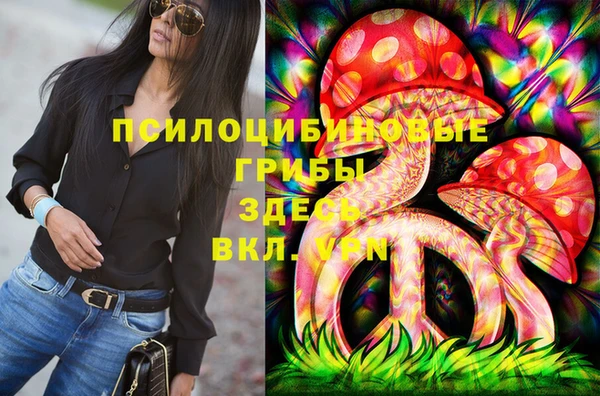гидропоника Кулебаки