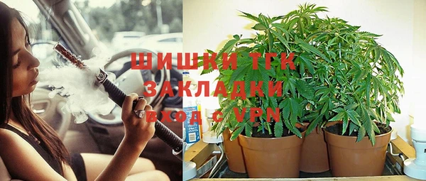 гидропоника Кулебаки