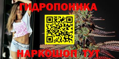 a pvp Дубна