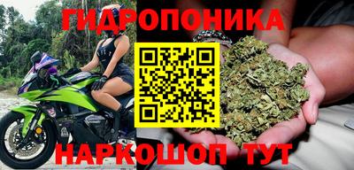 ГАЛЛЮЦИНОГЕННЫЕ ГРИБЫ Донской