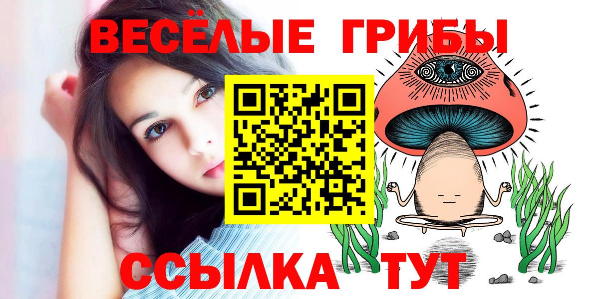 Псилоцибиновые грибы ЛСД Михайловка